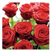 Rode rozen servetten 33 cm