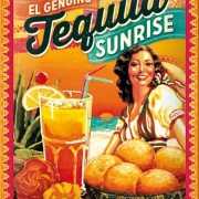 Tinnen plaatje Tequila Sunrise 15 x 20 cm