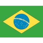 Stickertjes van vlag van Brazilie