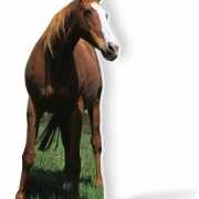 Decoratiebord paarden 190 cm