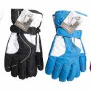 Ski handschoenen in verschillende kleuren