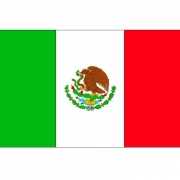 Stickertjes van vlag van Mexico