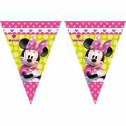 Minnie Mouse vlaggenlijnen 3 meter