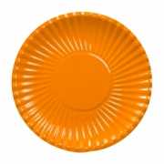 Oranje wegwerp bordjes 23 cm