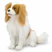 Knuffeldier hond Cavalier King 30 cm