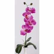 Orchidee kuntplant roze 44 cm