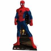Spiderman versiering 173 cm