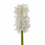Witte hyacinth 30 cm