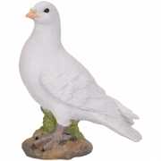 Witte duif van steen 24 cm