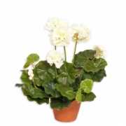 Kunst geranium wit 30 cm
