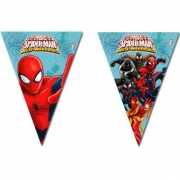 Spiderman Warriors vlaggenlijnen 2,3 meter