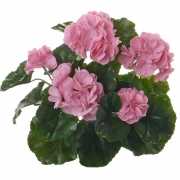 Kunstplanten roze Franse Geranium