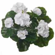 Kunst planten witte Franse geranium