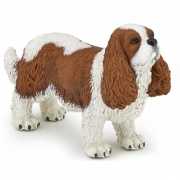 King Charles spaniel hond plastic