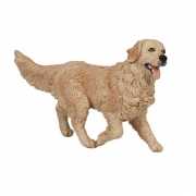 Golden Retriever hond plastic