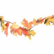 Herfstslinger gekleurde bladeren175 cm