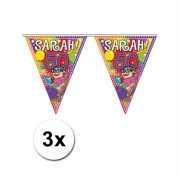 3x Sarah vlaggenlijn van plastic 10 meter