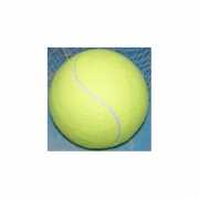 Jumbo tennisballen XXL 22 cm