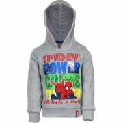Spiderman sweater grijs