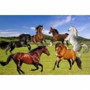 Paarden placemats 3D
