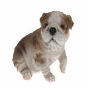 Bulldog beeldje zittend 16 cm type 1