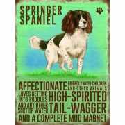 Metalen plaat Springer Spaniel