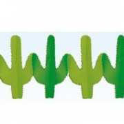 Cactus feest slingers