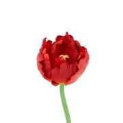Tulp deluxe rood 25 cm Kunstbloemen