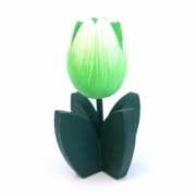 Witte tulp op groen blad standaard