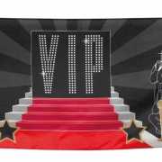 VIP banner 74 x 220 cm